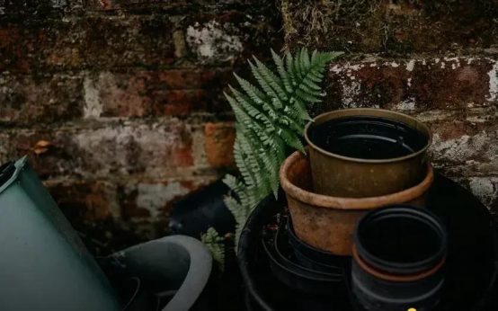 Garden Design Ideas to Transform Your Backyard Now