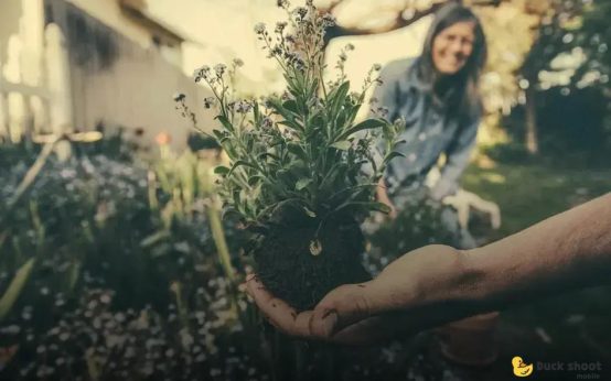 Hosting a Garden Party: Nature-Inspired Décor Tips