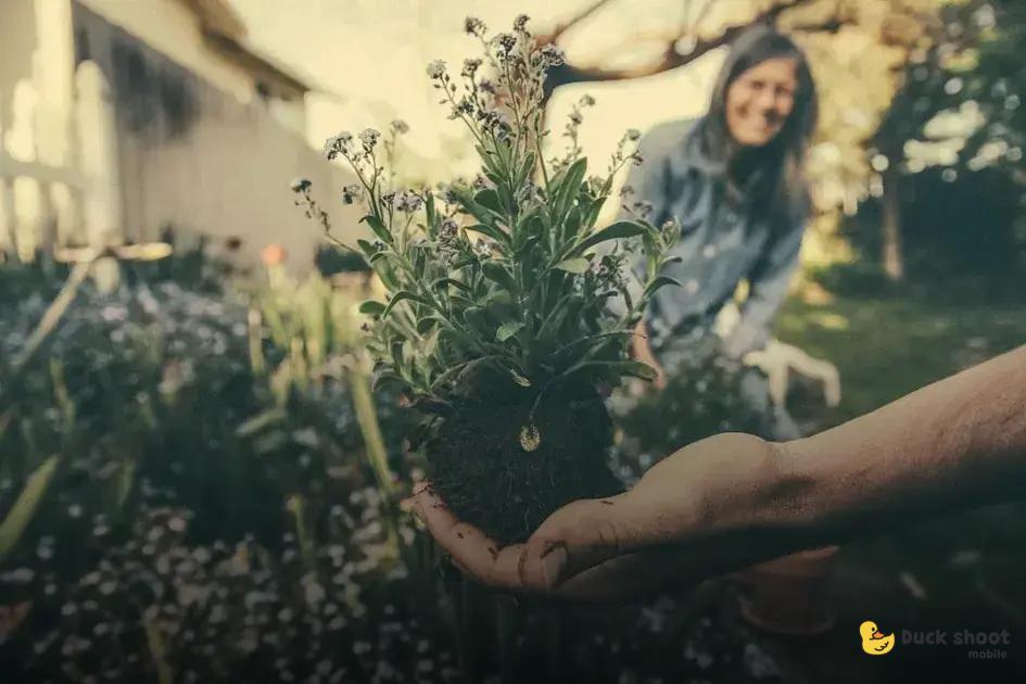 Hosting a Garden Party: Nature-Inspired Décor Tips