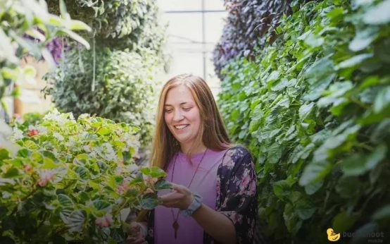 Reviving Dying Plants: Critical Checks to Start Now