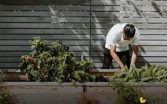 Seasonal Gardening: Tips to Prepare Your Winter Garden