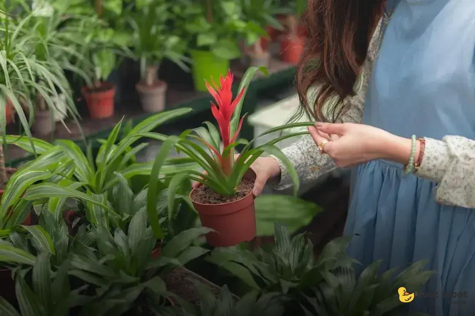 Step-by-Step Pruning Techniques